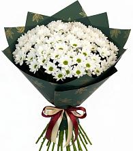 Букет цветов из:  Хризантемы #REPLACE_PRED# Новолабинской