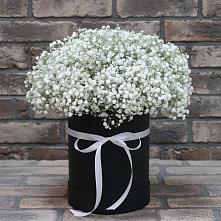Цветочная композиция из Гипсофила в шляпной коробке в Новолабинской