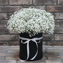 Цветочная композиция из Гипсофила в шляпной коробке в Новолабинской