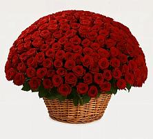 Премиум букет из: Розы #REPLACE_PRED# Новолабинской